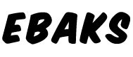 EBAKS Web Design and Web Development.